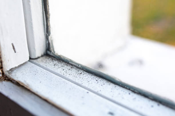 Best Asbestos and Lead Testing During Mold Inspection  in Leo Cedarville, IN
