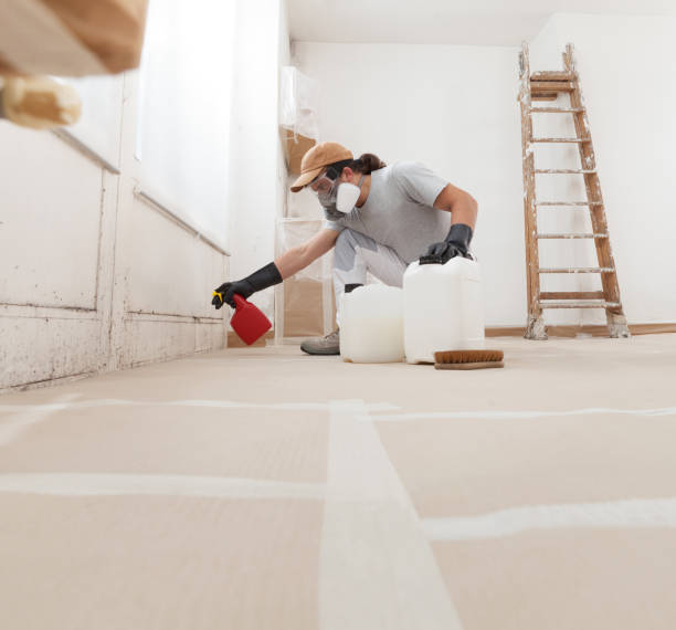 Best Real Estate Mold Inspection  in Leo Cedarville, IN